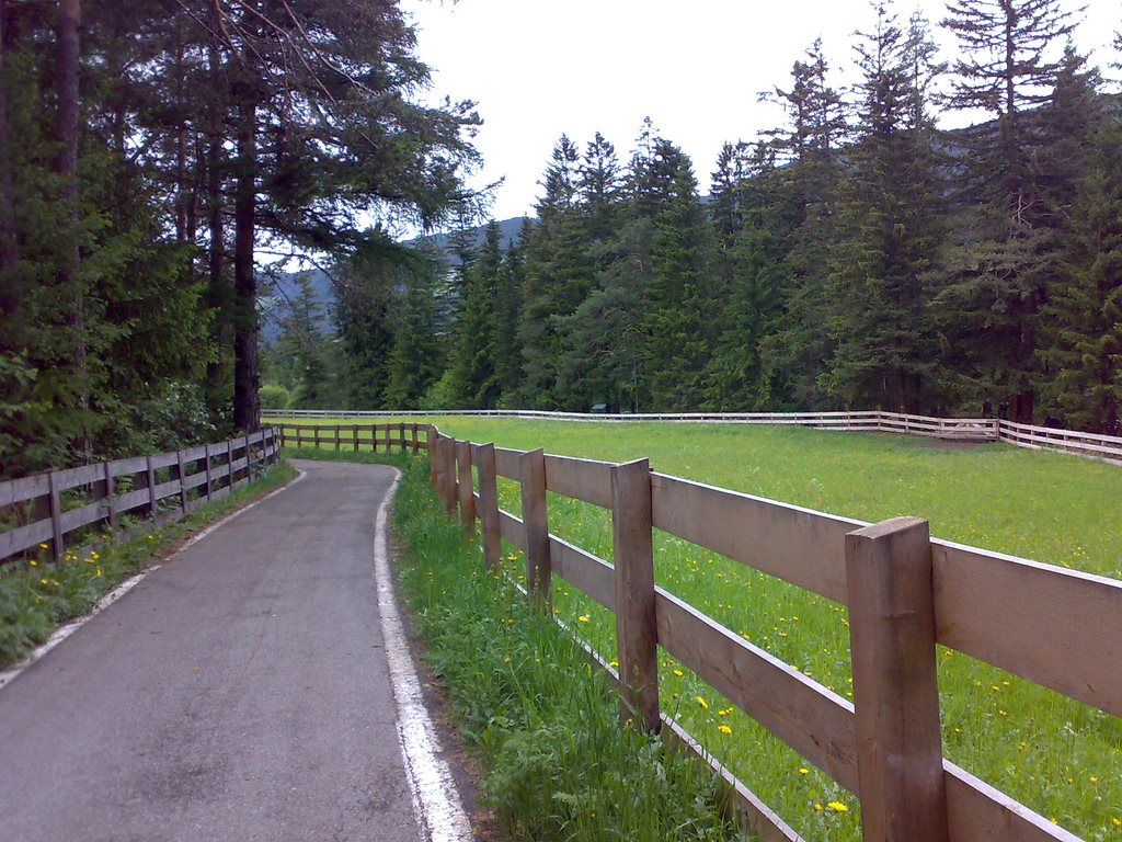 Valle dell’Adige cycle track
